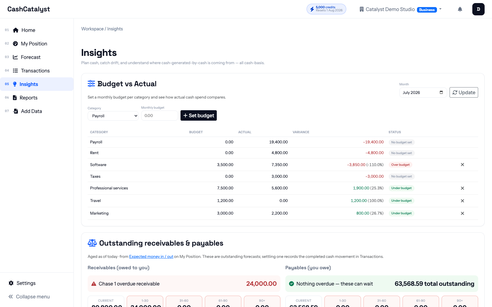 Insights page showing budget, receivables, and payables information